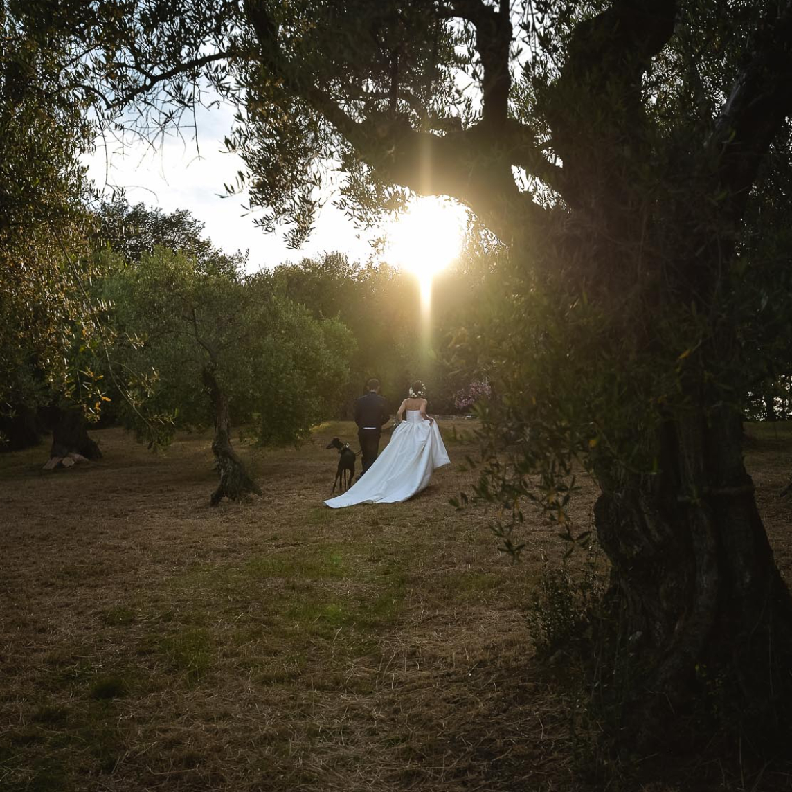 fotografo, matrimonio, fano, Relais Villa Giulia, Pescara, Marche, miglior fotografo italiano, tramonto, cane