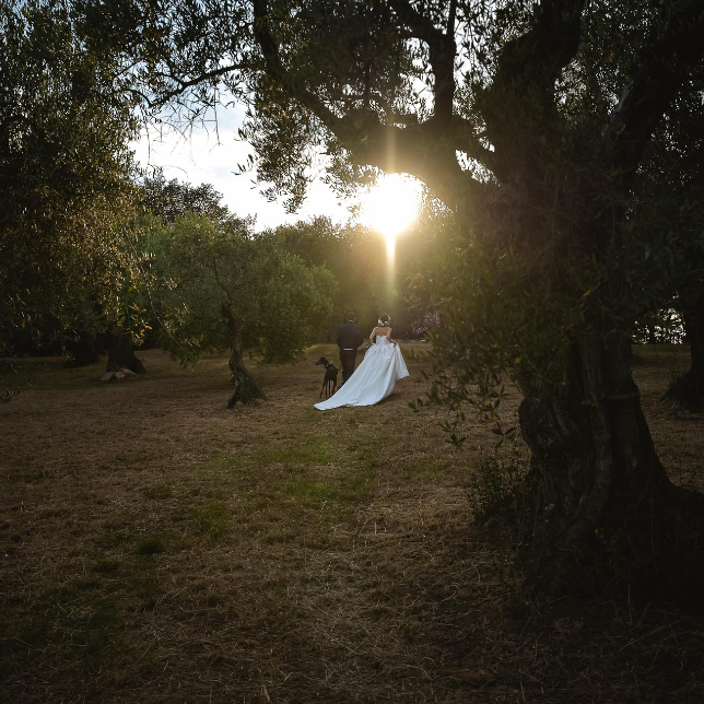 fotografo, matrimonio, fano, Relais Villa Giulia, Pescara, Marche, miglior fotografo italiano, tramonto, cane